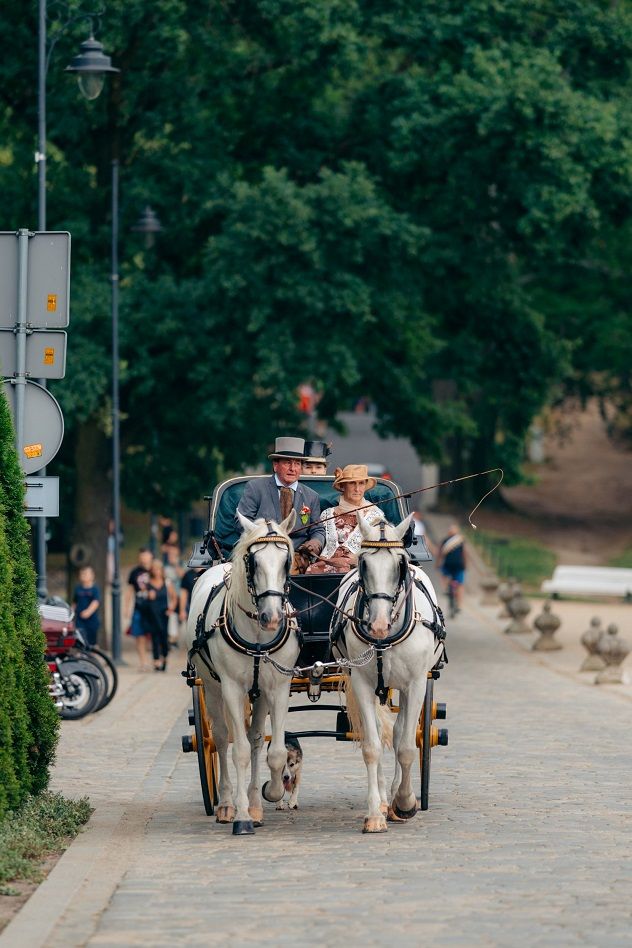 Wałbrzych: Konkurs powożenia