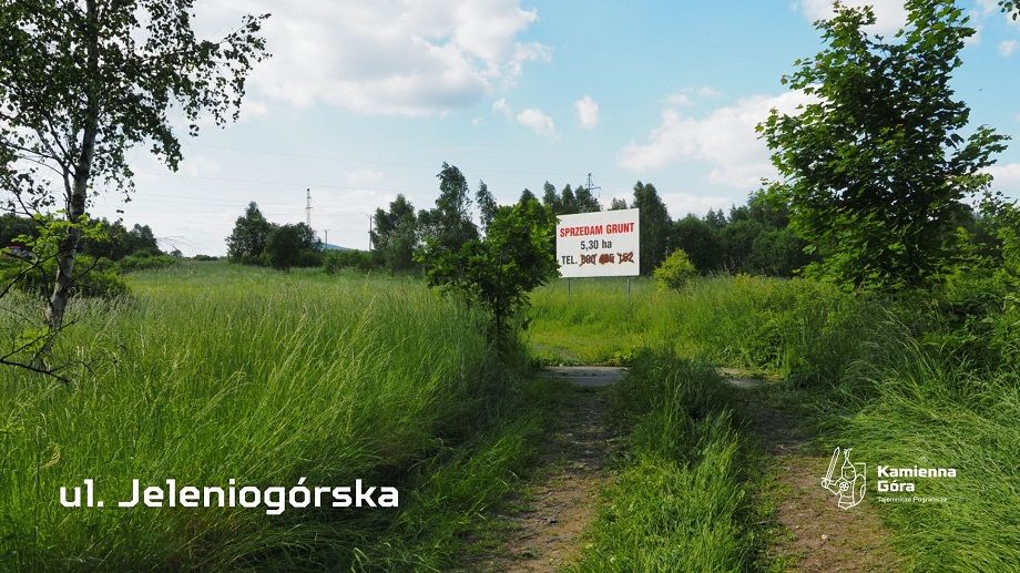 REGION, Kamienna Góra: Przetargi już ogłoszone