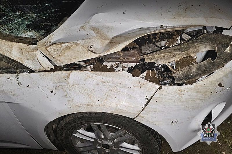 REGION, Zagórze Śląskie: Nocne dachowanie