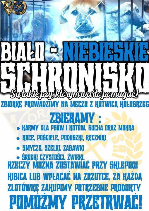 Wałbrzych: Kibice wspierają schronisko