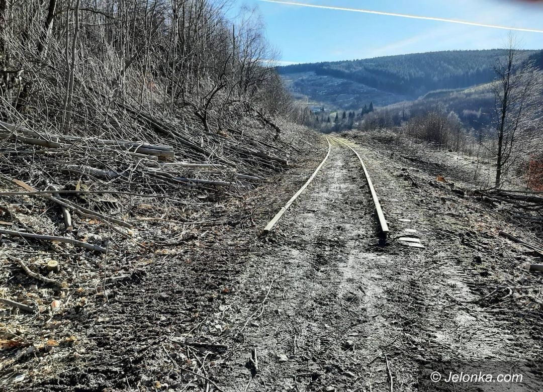 REGION, Kamienna Góra: Pociągiem wkrótce do Kamiennej Góry