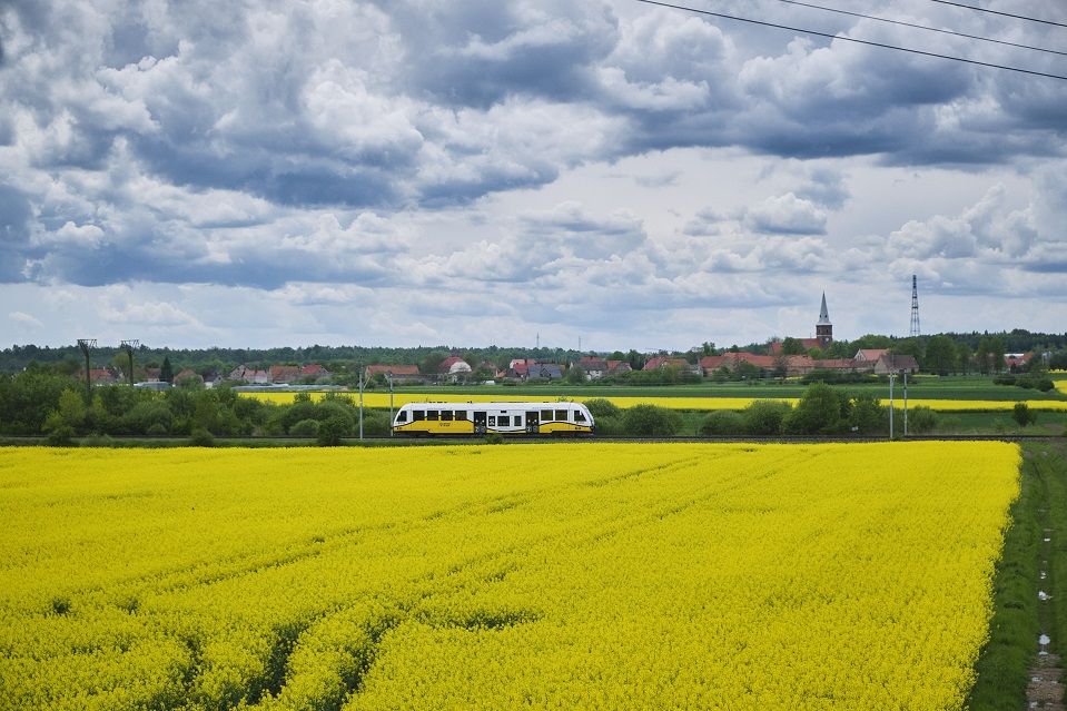 REGION: Rekordowy styczeń