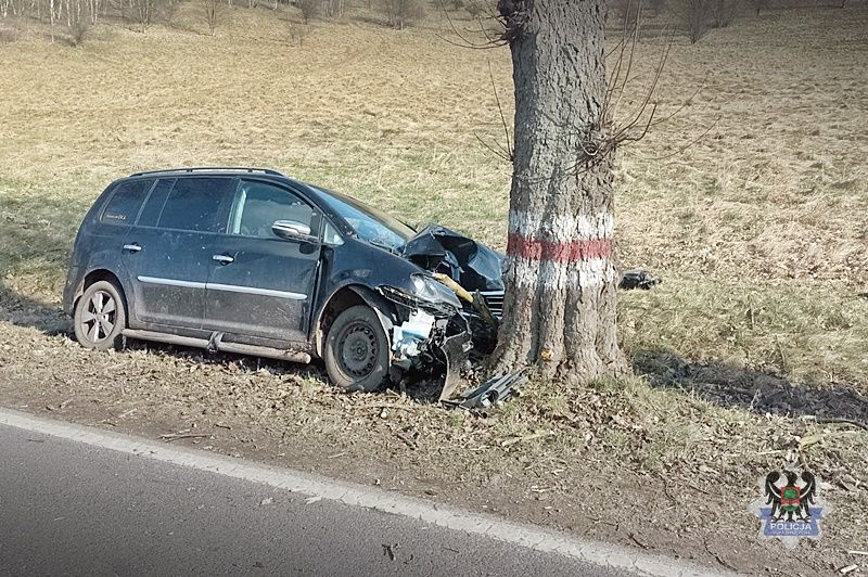REGION, Kowalowa: Utrata przytomności przyczyną wypadku