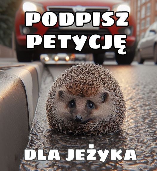 Wałbrzych: Chcą chronić jeże