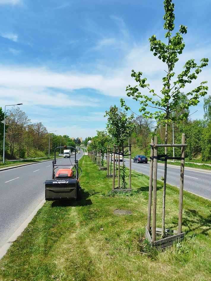 Wałbrzych: Trwa koszenie
