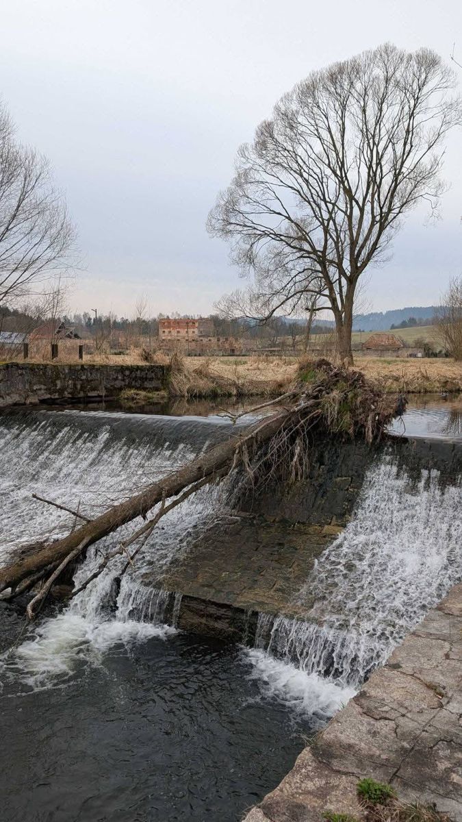REGION, Gmina Mieroszów: Czas oczyścić Ścinawkę