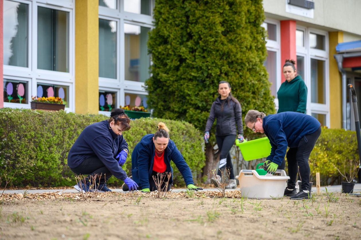 Wałbrzych: Czysty, zielony Wałbrzych – kolejna edycja za nami