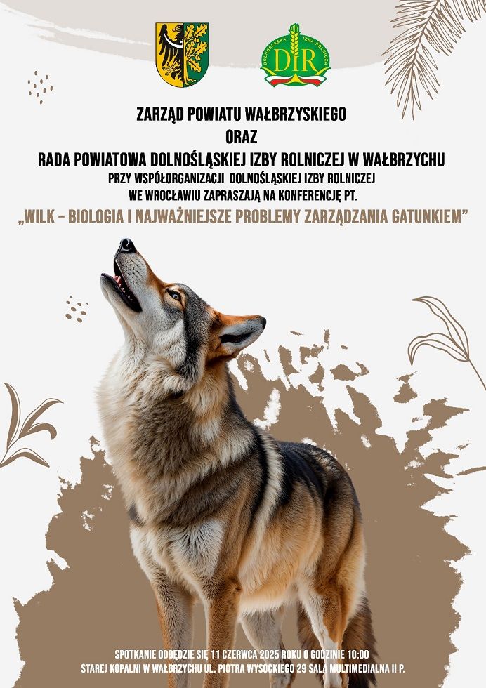 Wałbrzych: Porozmawiajmy o wilkach