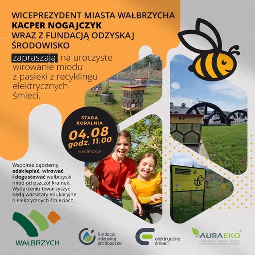Wałbrzych: Miodobranie z recyklingu