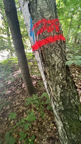 Wałbrzych: Bezpieczeństwo w Parku Sobieskiego