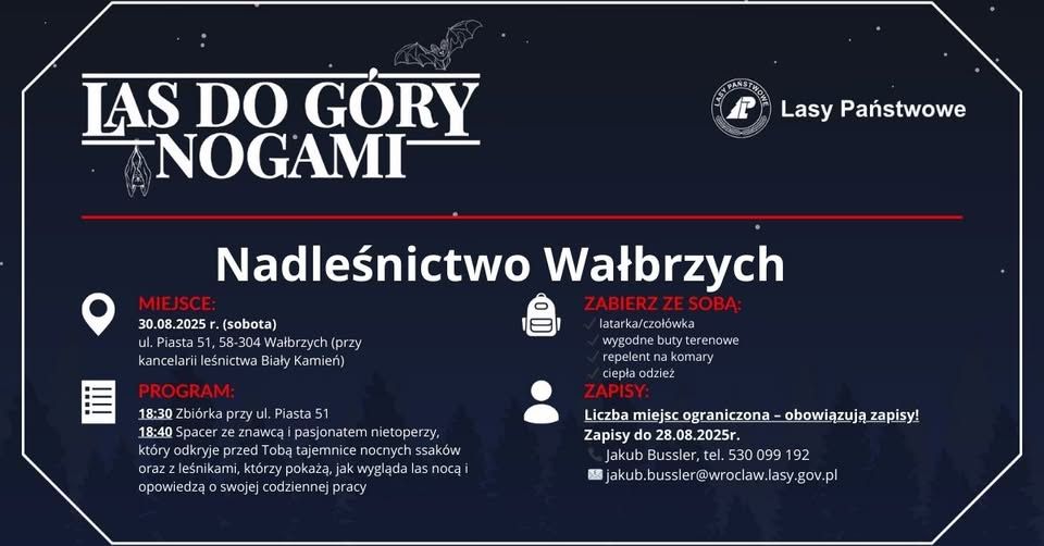 Wałbrzych/REGION: Las do góry nogami