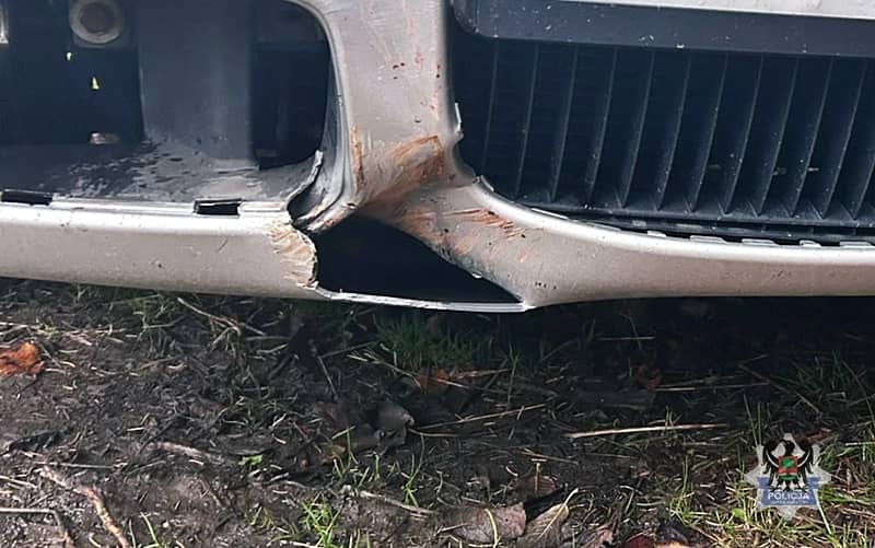 REGION, Boguszów-Gorce: Szybki powrót za kraty