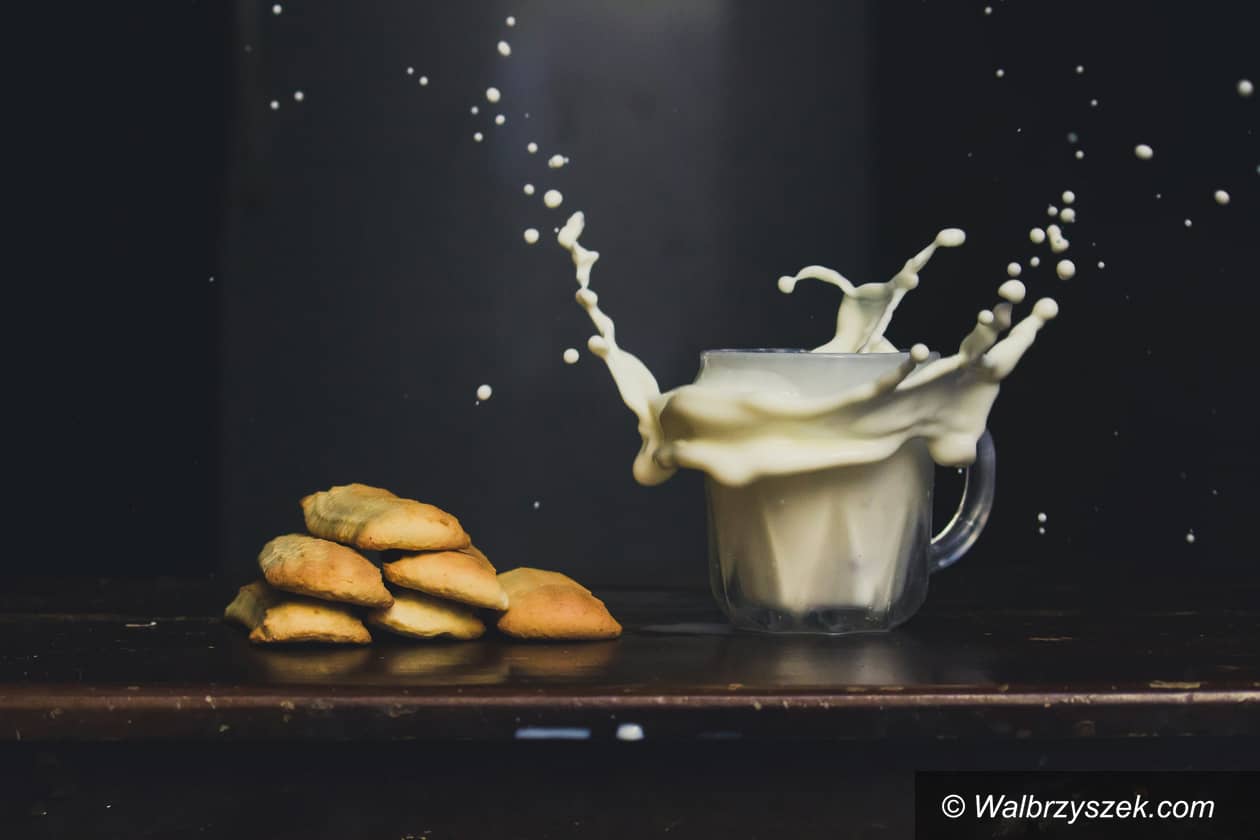 Polska: Jak wybrać mleko do biura? Poradnik dla firm