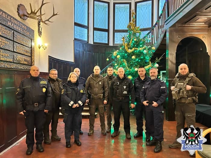 Wałbrzych/powiat wałbrzyski: Walczą z nielegalną wycinką