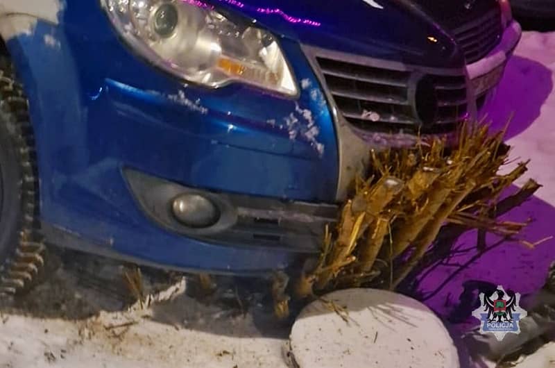 Wałbrzych: Narozrabiał na Azaliowej