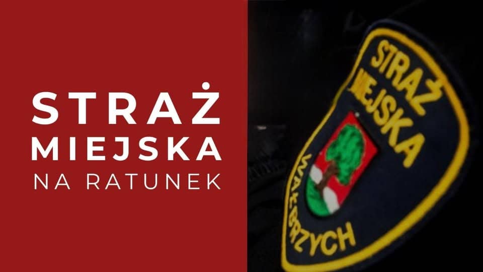 Wałbrzych: Profesjonalne działania strażników