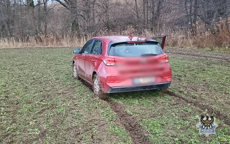 Wałbrzych: Biegiem oddalił się do lasu