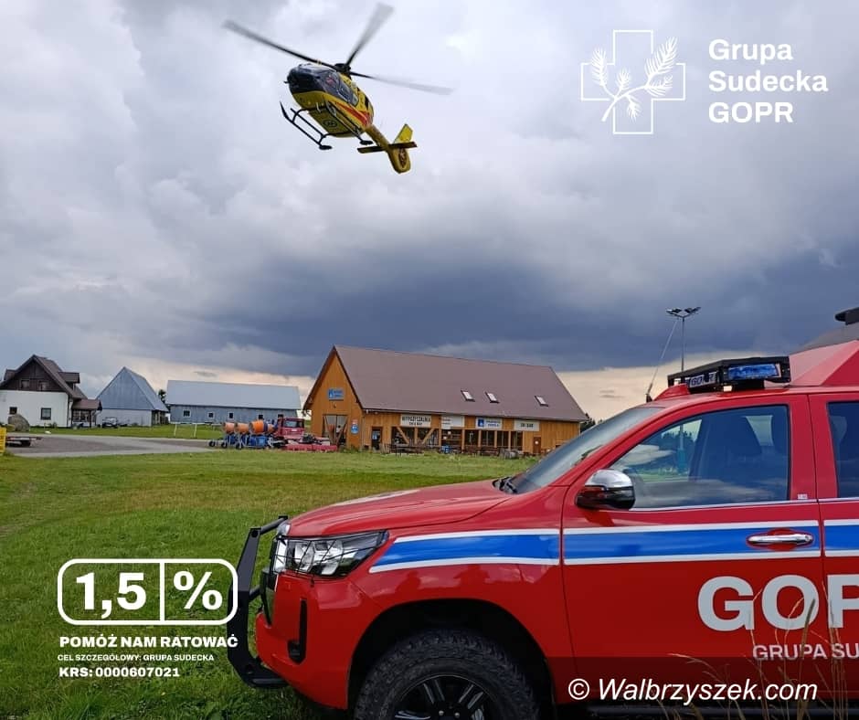 Wałbrzych/REGION: Ratują cały rok