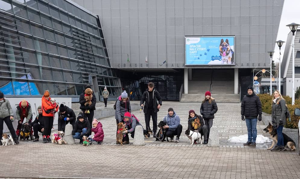 Wałbrzych: Osiemdziesiąt kilogramów dobra