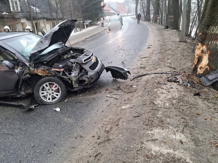 REGION: Prosto w drzewo