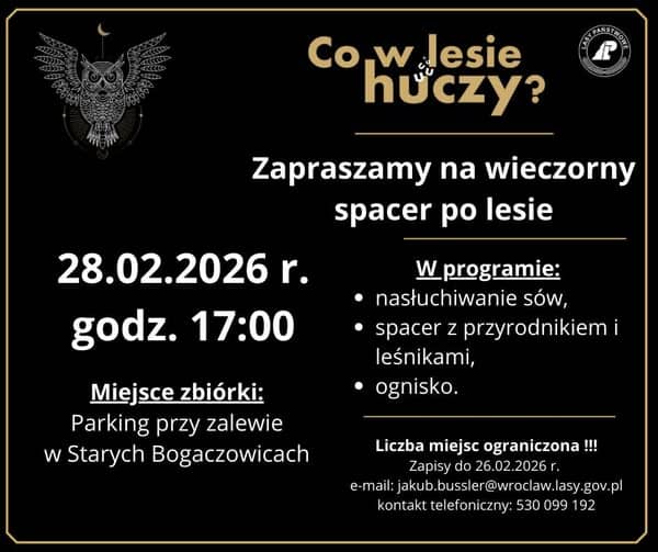REGION, Stare Bogaczowice: Wieczorny spacer po lesie