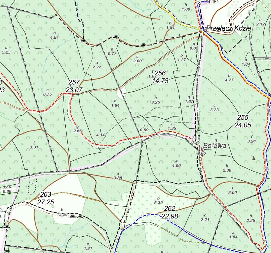 REGION: Trwają prace w lesie