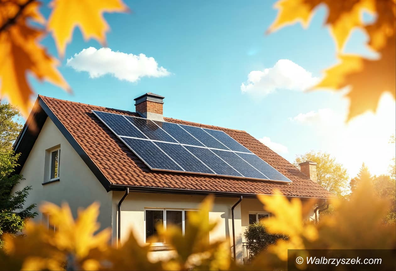 Polska: Jętkowa, płatwiowo–kleszczowa czy wiązary? Jaką konstrukcję dachu wybrać i dlaczego dekarz musi to wiedzieć