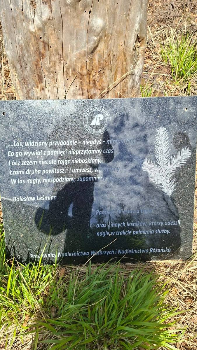 powiat wałbrzyski: Brak słów na brak szacunku dla pamięci o zmarłych