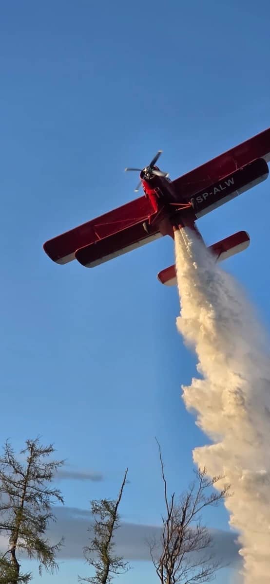 REGION: Pożar w Leśnictwie Glinica