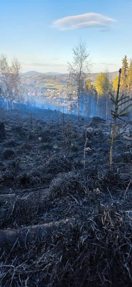 powiat wałbrzyski: Spłonęły 3 hektary lasu