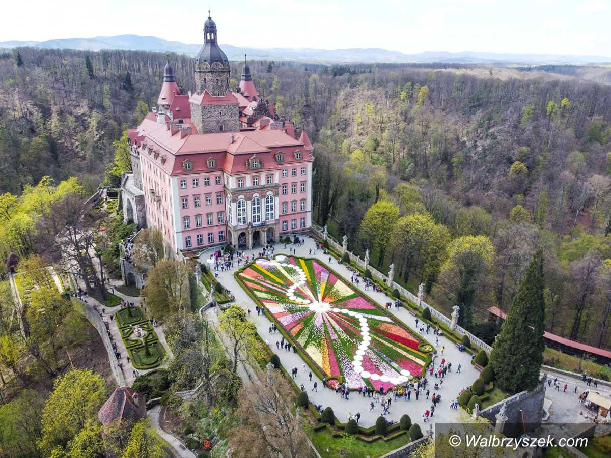 Wałbrzych: Festiwal Kwiatów – wszystko co musicie wiedzieć