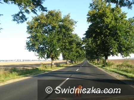 Świdnica,Strzegom: Droga śmierci, zmora dla kierowców