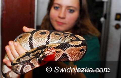 Świdnica: Będzie I Ogólnopolski Festiwal Fotografii Przyrodniczej