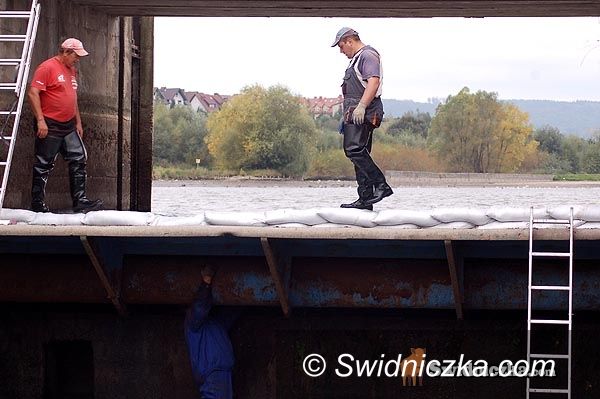 Świdnica: Coraz mniej Zalewu Witoszówka