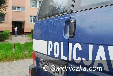 Świebodzice: W sztok pijana 25–letnia matka