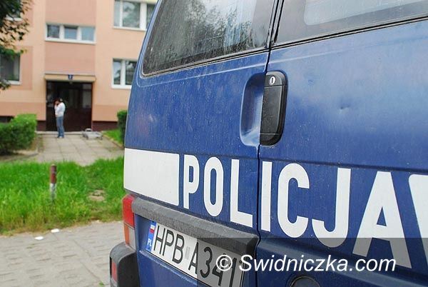Region - Świebodzice: Ukradł torebkę i poszedł dalej