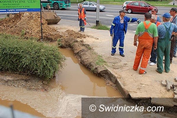 Świdnica: Zdążyć przed katastrofą