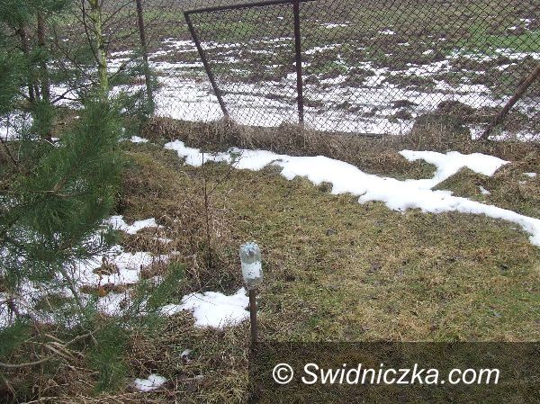 Region - Świebodzice: &#8220;Pachnące” straszaki na kiju