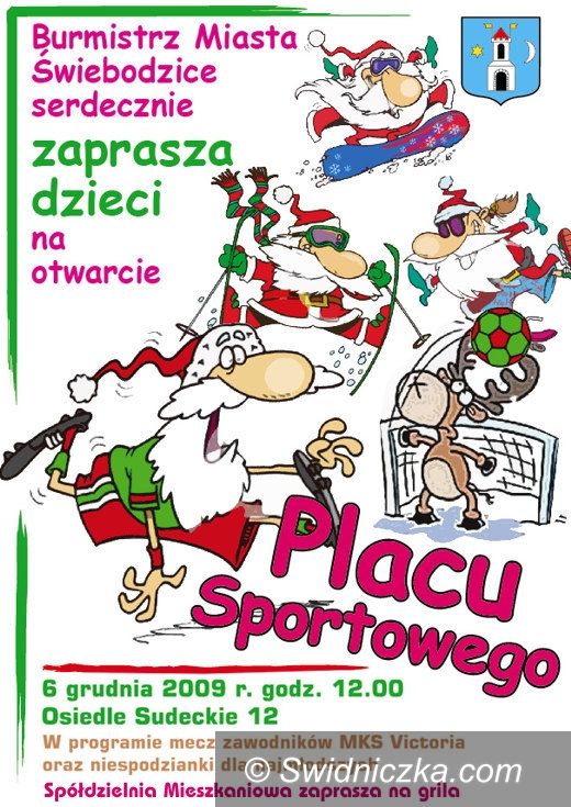 Region - Świebodzice: Boisko z ogniskiem
