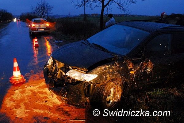 Świdnica: Skończyło się w rowie