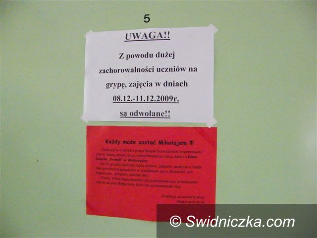 Region - Świebodzice: Grypa w Świebodzicach – czy jest niebezpiecznie?