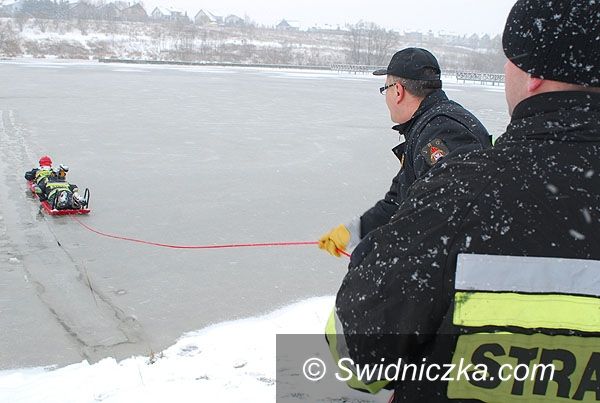 Świdnica: Ratowali przymarzniętą mewę