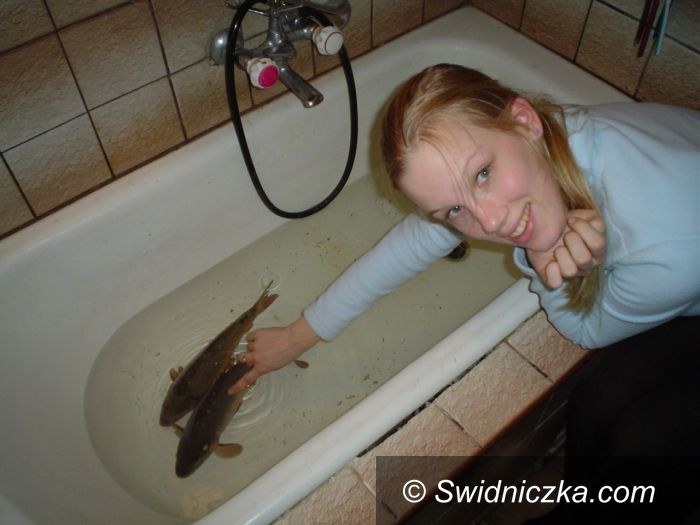 Świdnica: Jestem z kraju, gdzie mieszka Mikołaj