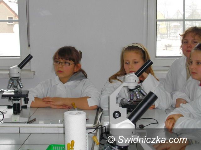 Region - Roztoka: W Myśliborzu pod mikroskopem