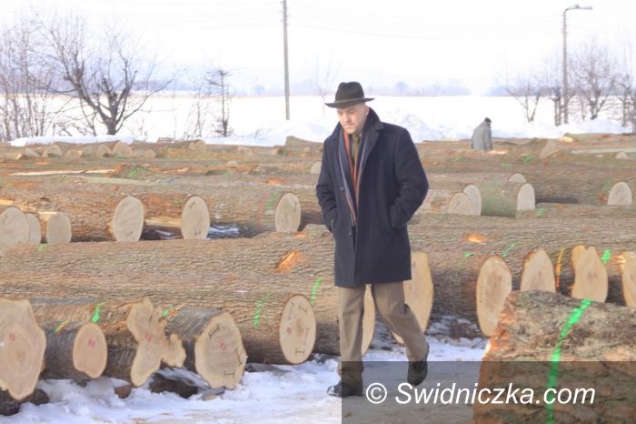 Świdnica/Mościsko: Rekordy na aukcji luksusowego drewna