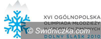Świdnica: Zapraszamy na curling