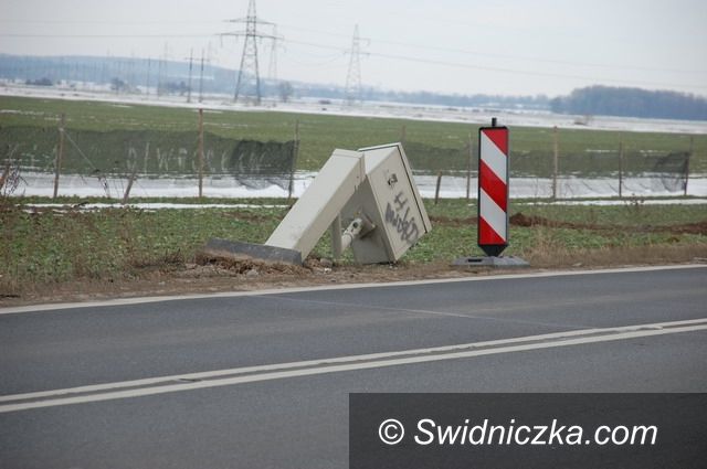 Region - Gmina Dobromierz: Leży i kwiczy