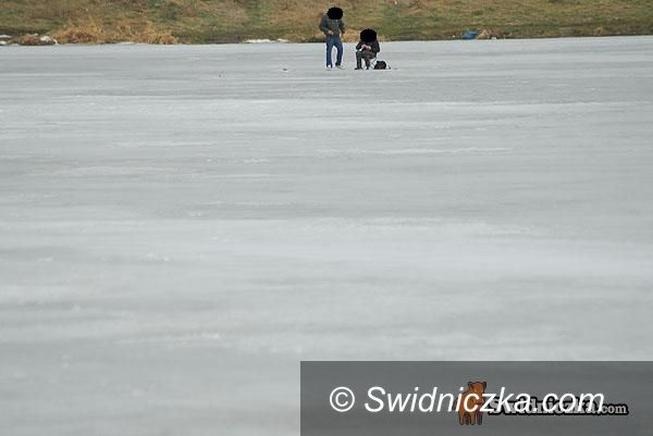 Świdnica: Na głupotę nie ma rady?
