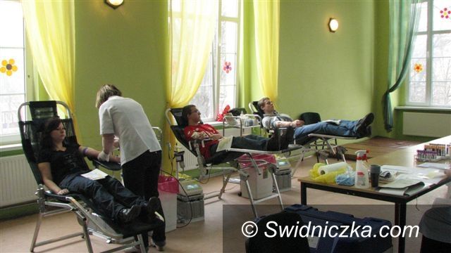 Region - Strzegom: Znowu zbierano krew