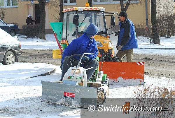 Świdnica: Wiosna już była – migawki z miasta